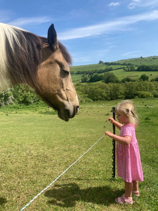 Little girl standing by the horse having equine therapy