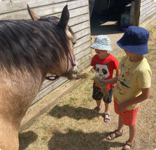 two children receiving equine therapy with a horse