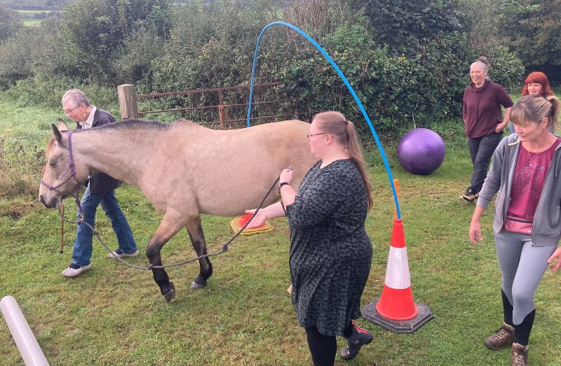 A group of adults engaged in equine facilitated learning