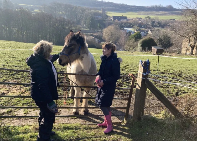 Two adults and a horse taking part in an equine listening session