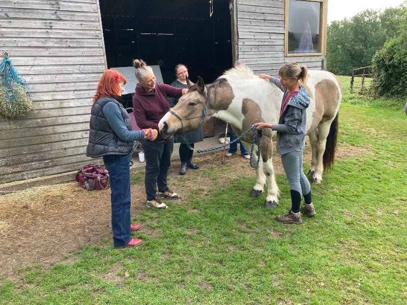 equine taster session