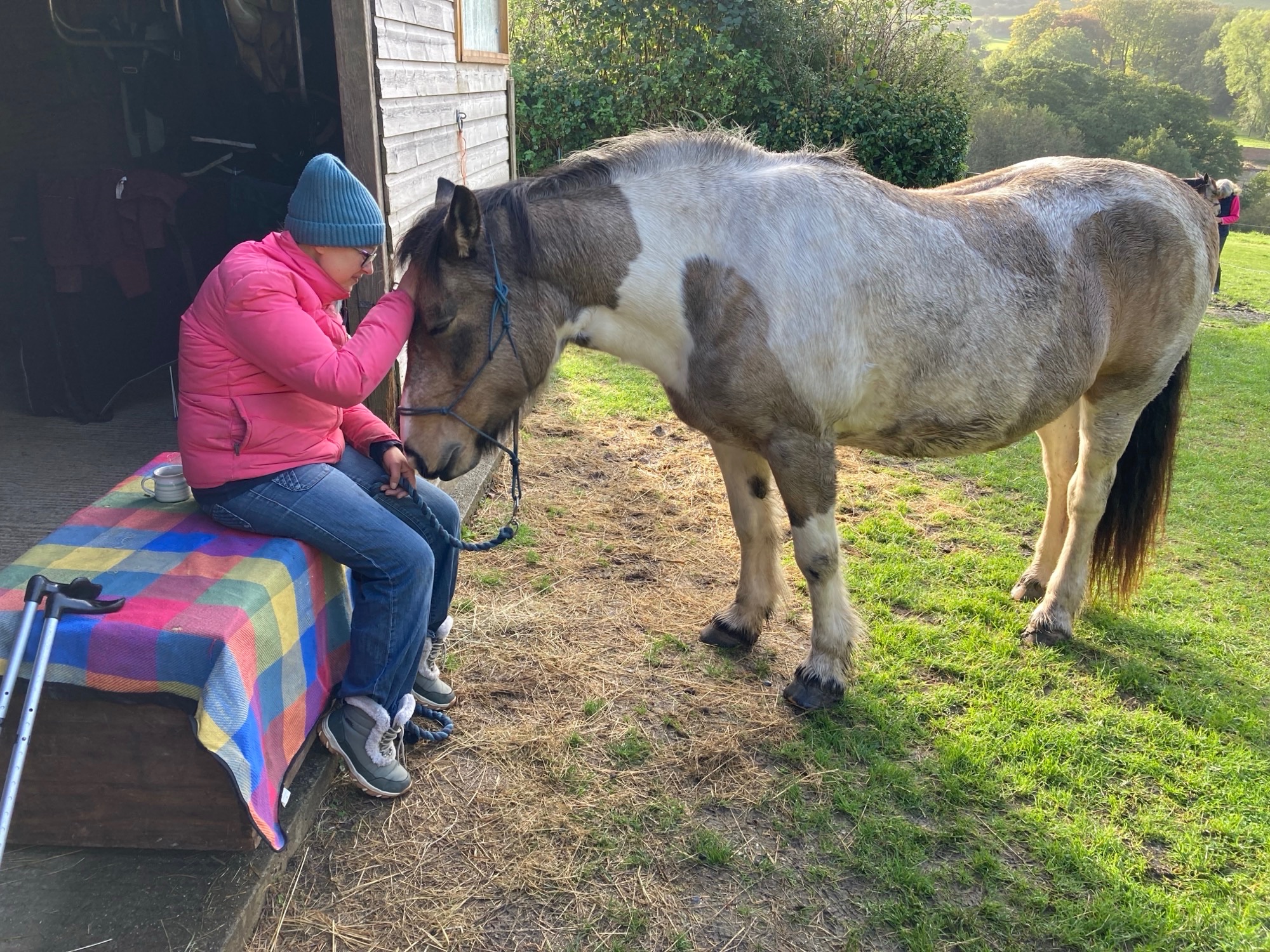 Equine facilitated learning practitioner trainee with a horse